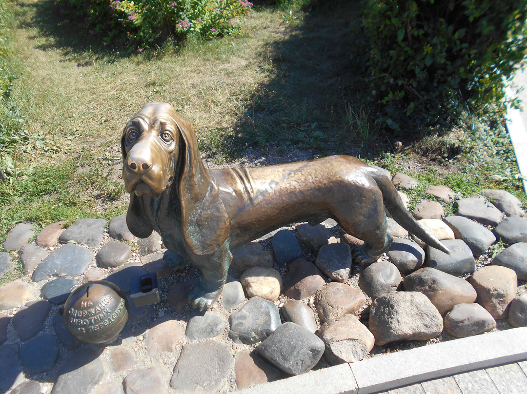 Monument to the Dog-科斯特罗马必去景点