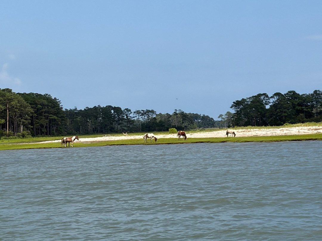 Captain Dan's Around the Island Tours-钦科蒂格岛必去景点