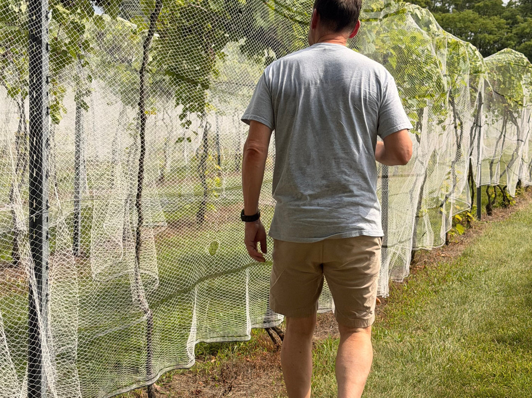 Chateau Winery & Vineyard-Helena必去景点