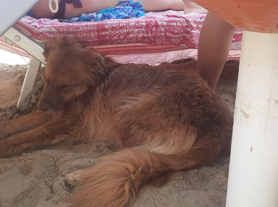 Scoobydoo Beach-Campomarino Lido必去景点