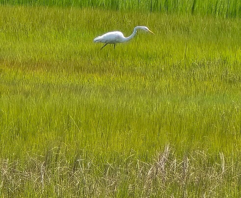 The Wetlands Institute-Stone Harbor必去景点