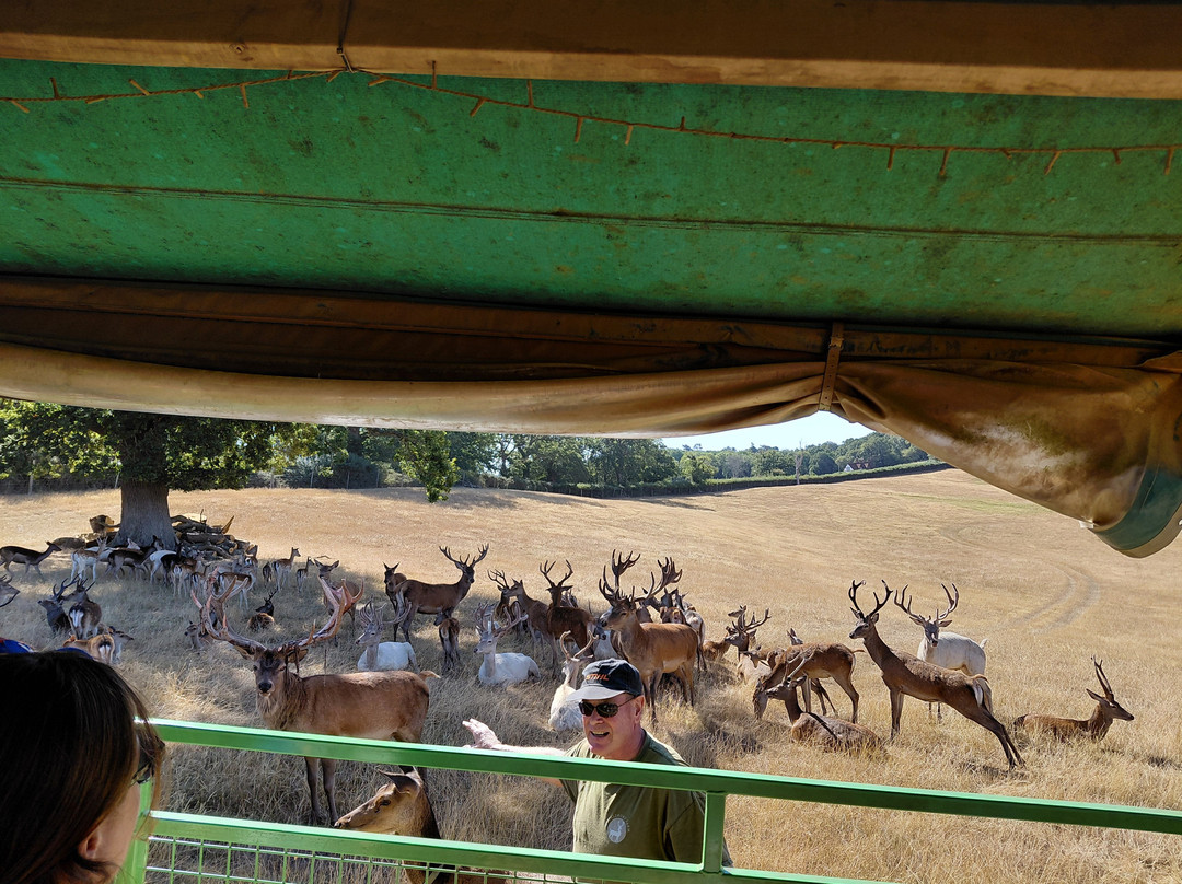Bucklebury Farm Park-Bucklebury必去景点