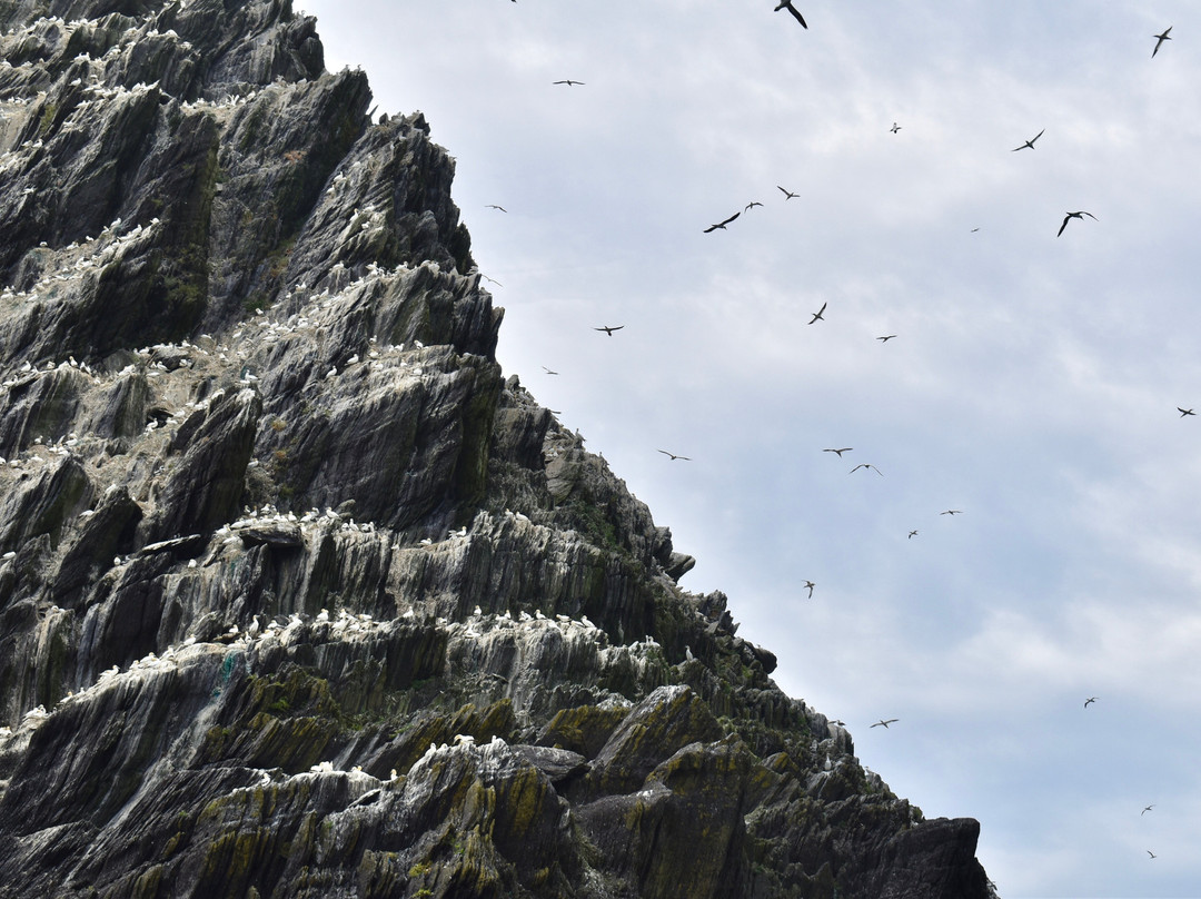 Skellig Coast Adventures-Portmagee必去景点