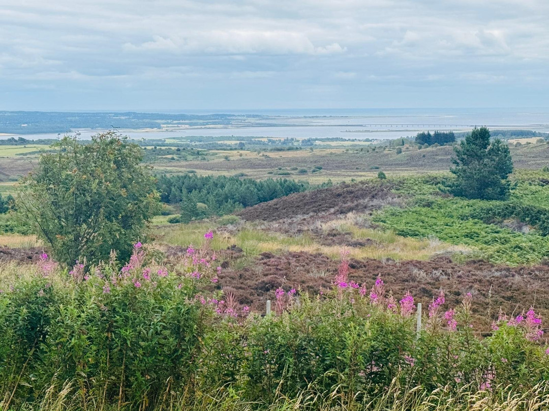 Scotland Taxi Tours-Invergordon必去景点
