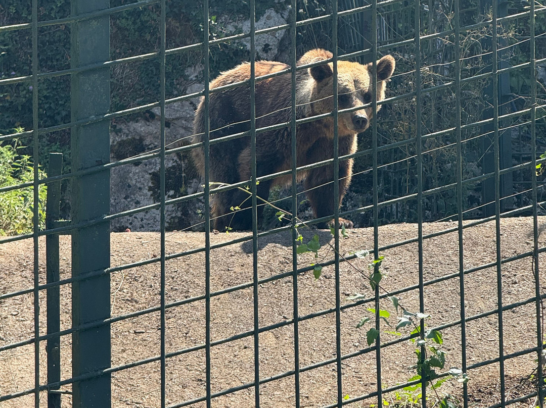 Senda Del Oso Experience - Teverastur-Teverga Municipality必去景点