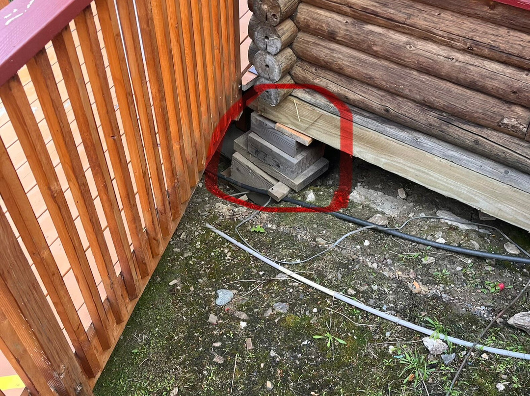 迪纳利乌鸦巢小屋酒店主图
