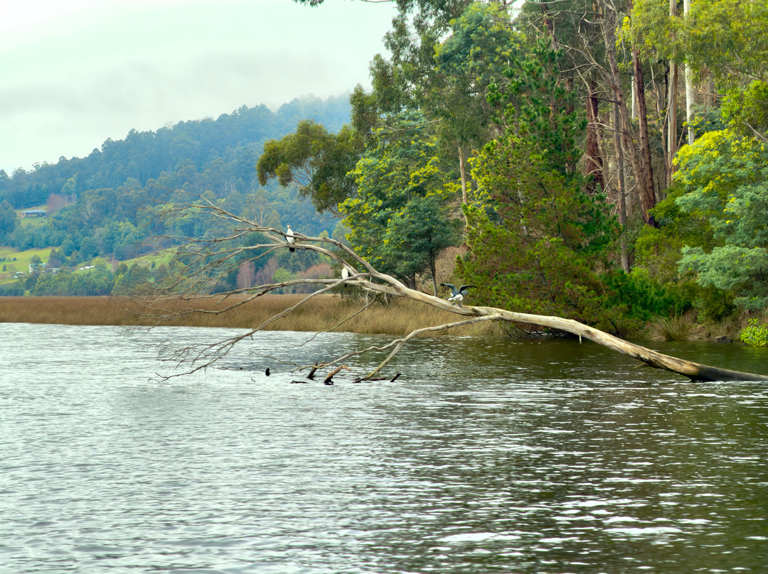 Huon River Cruises-Castle Forbes Bay必去景点