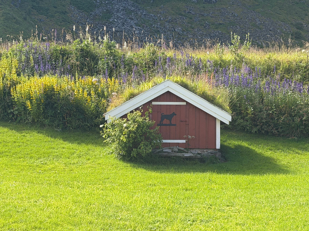 Værøy Gamle Prestegård主图