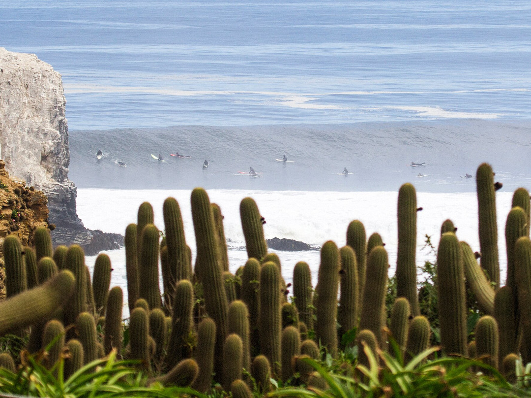 Parque Punta De Lobos-皮钦勒姆必去景点
