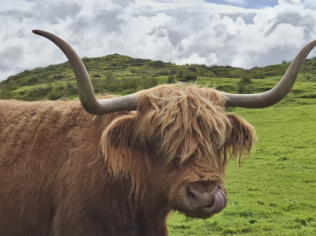 Isle of Kerrera-The Hebrides必去景点