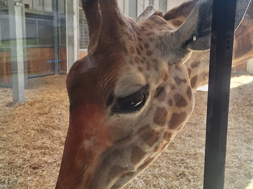Zoo d'Amiens-亚眠必去景点