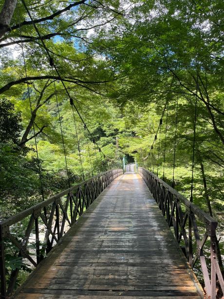 欣赏四季之宿 山之茶屋-旅行者