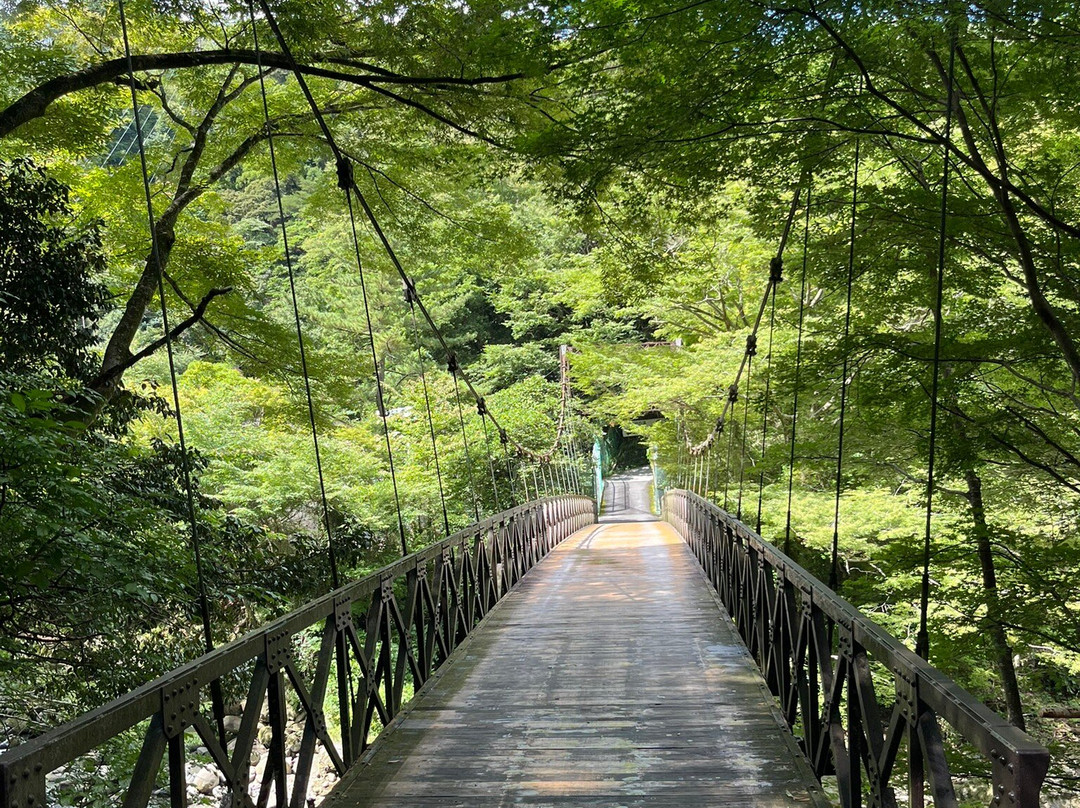 欣赏四季之宿 山之茶屋主图