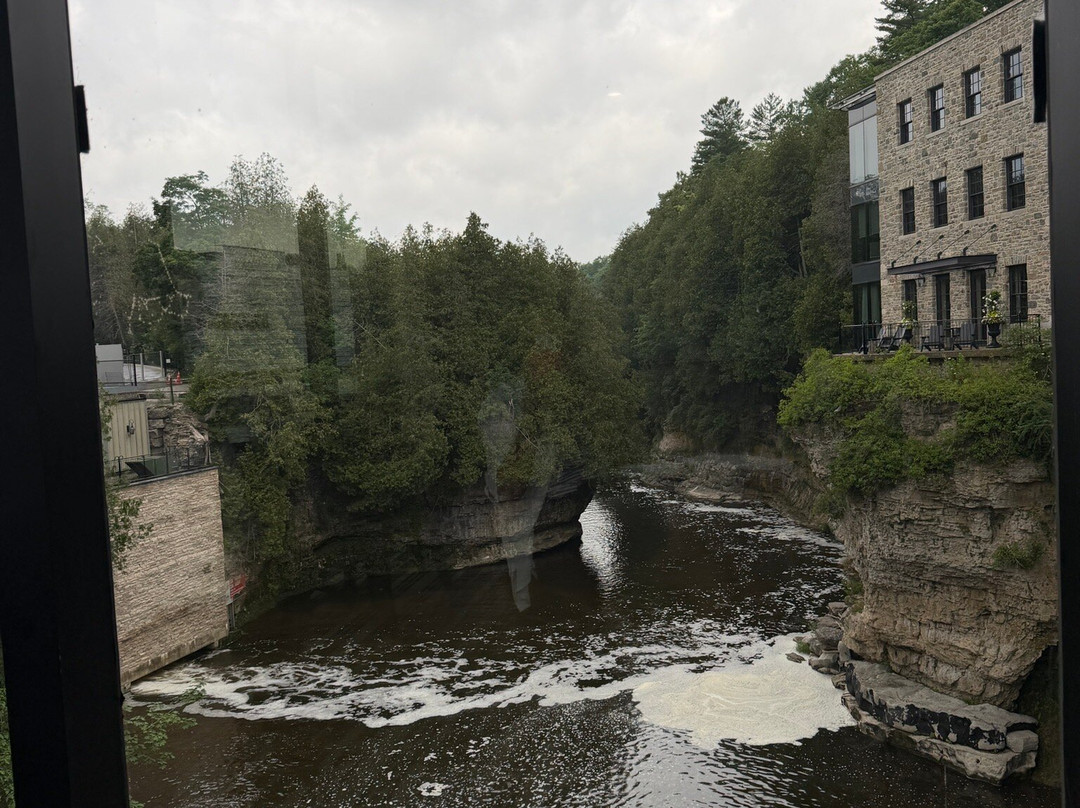 Elora Farmers' Market-伊劳拉必去景点