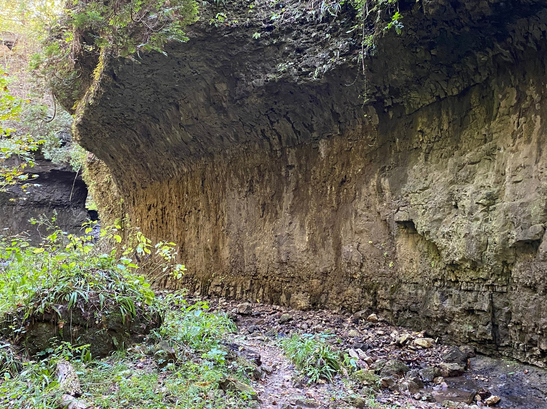 The Highlands Nature Sanctuary-Bainbridge - Ross County必去景点