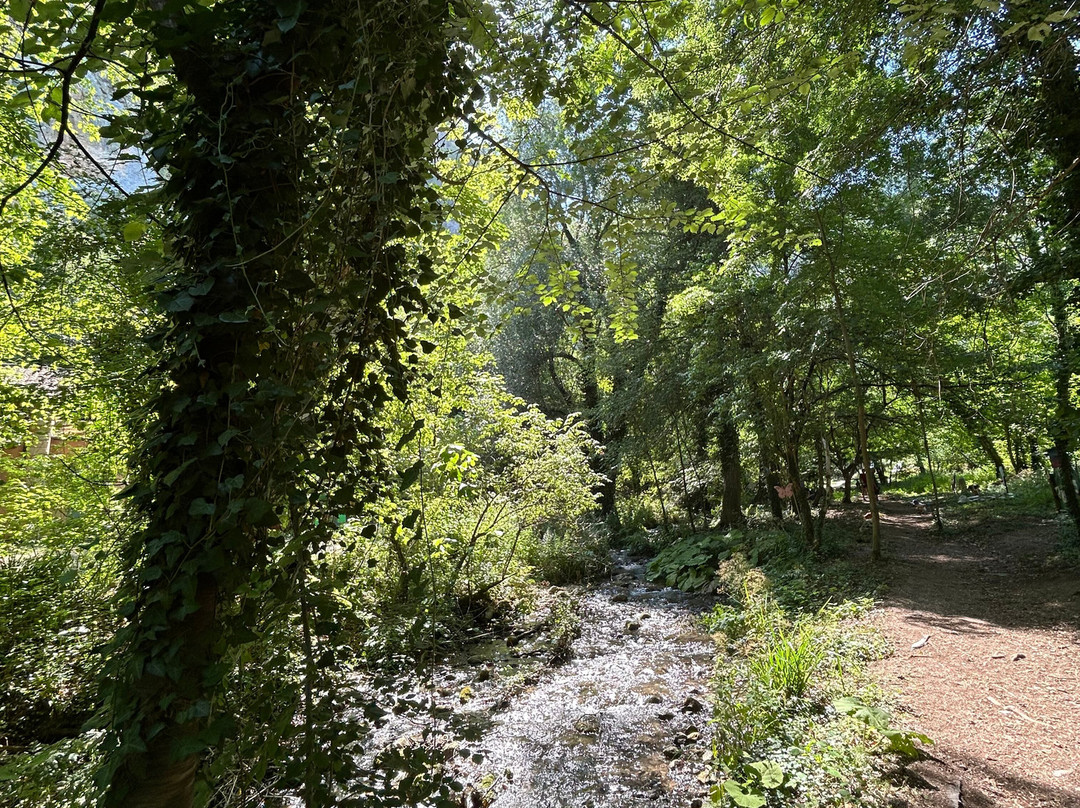 Riserva Naturale Gole del Sagittario-Anversa degli Abruzzi必去景点