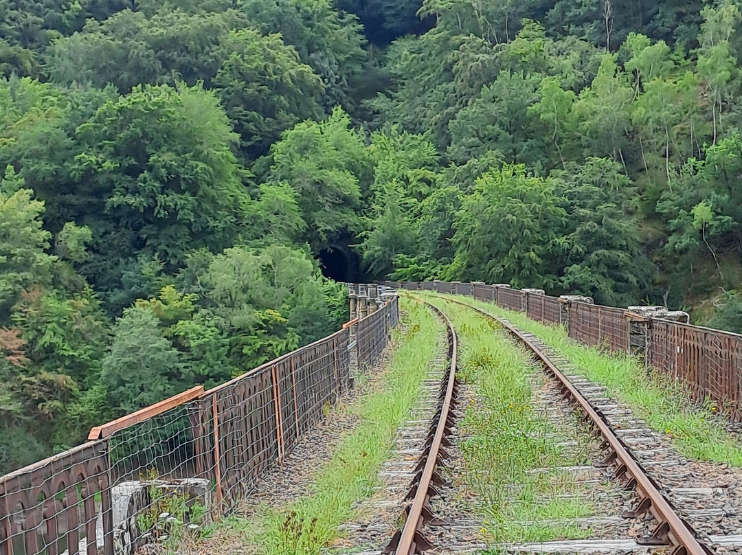 Pédalorail Electrique du Grand Pays de Salers-Ally必去景点