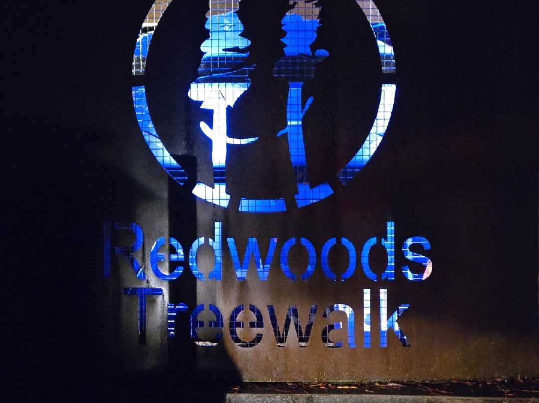 Redwoods Treewalk-罗托鲁瓦必去景点