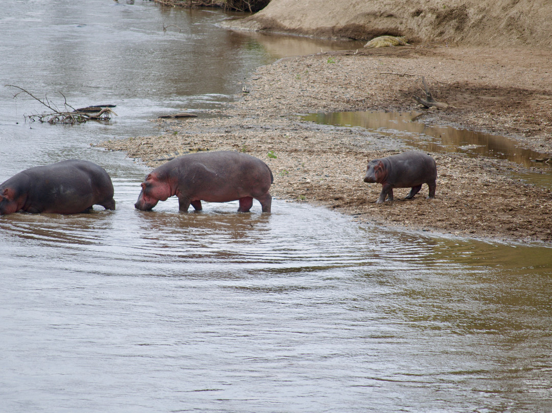 Activentures Africa Safaris-坎帕拉必去景点