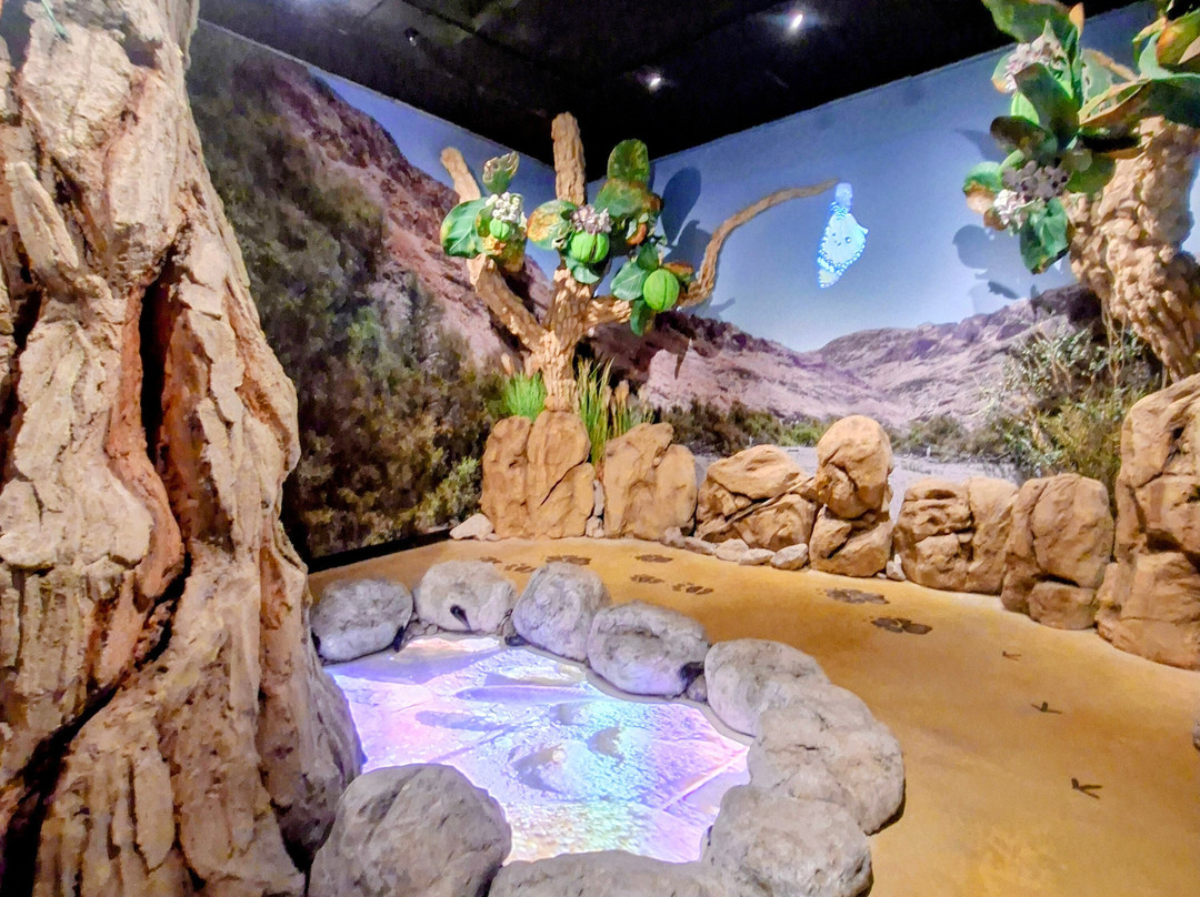 Enot Tsukim Nature Reserve - Ein Feshkha-Dead Sea Region必去景点