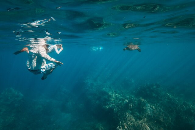 Maui Snorkeling-玛阿拉也亚必去景点