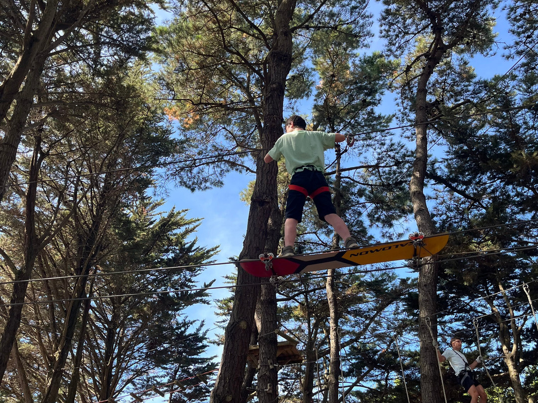 Piriac Adventure Tree climbing-Piriac-sur-Mer必去景点