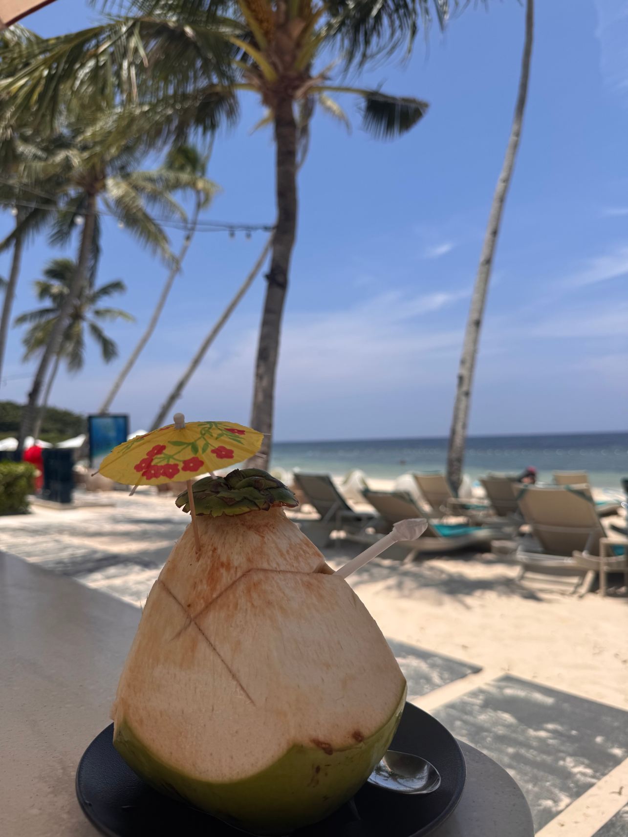 阿罗纳海滩赫纳度假村-旅行者