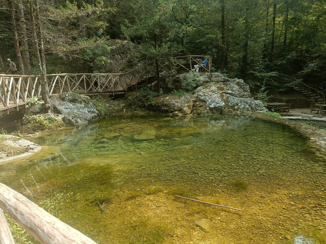 Cipresseta di Fontegreca-Fontegreca必去景点