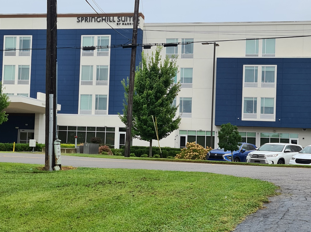 SpringHill Suites Birmingham Gardendale主图