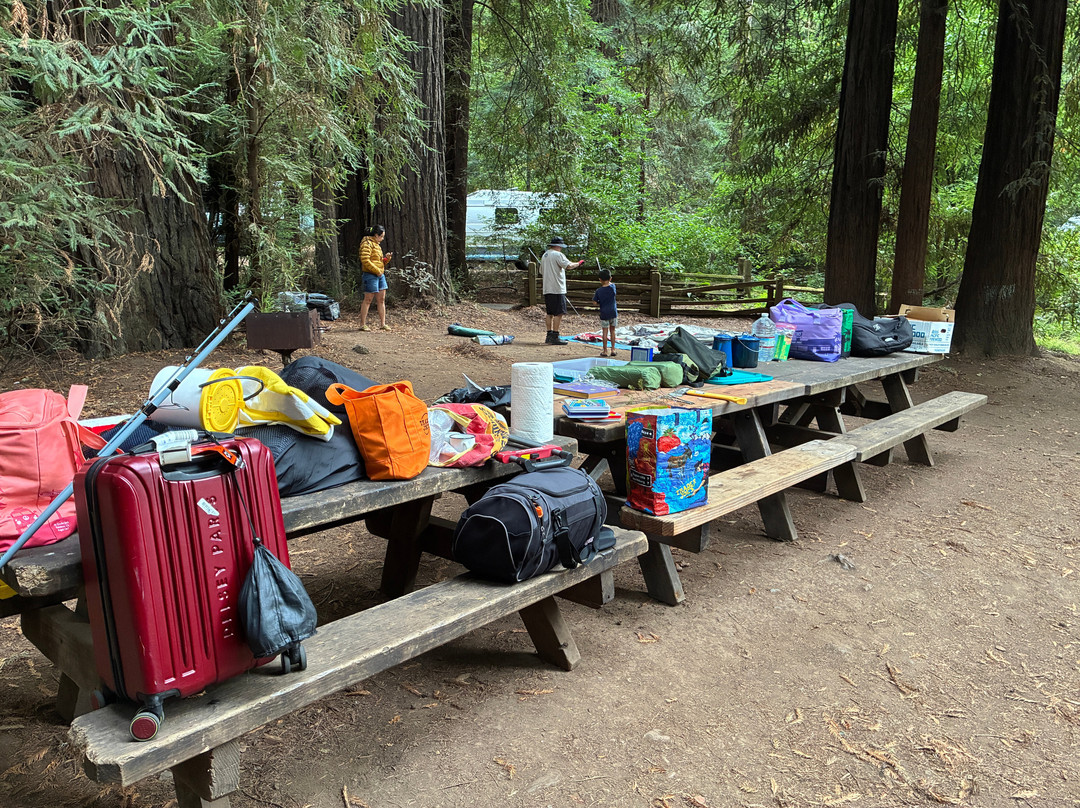Samuel P. Taylor State Park-Lagunitas必去景点