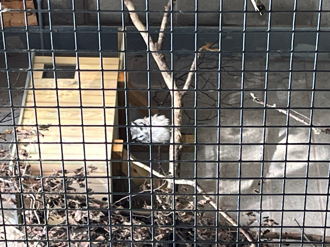 Reaseheath Mini Zoo-Nantwich必去景点