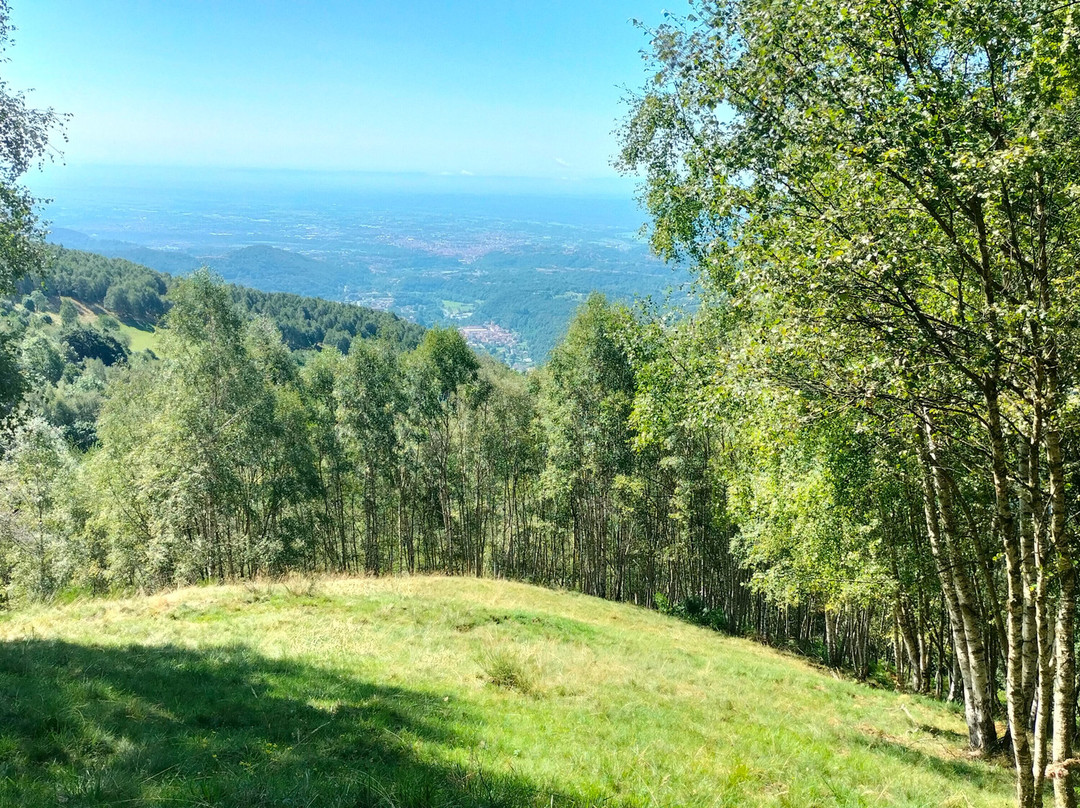 Strada Statale 232 Panoramica Zegna-Trivero必去景点