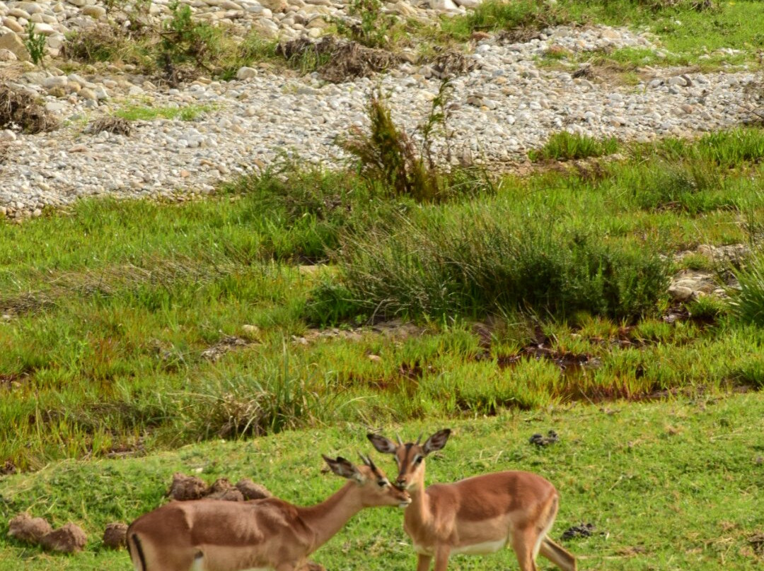 Botlierskop Private Game Reserve-莫塞尔贝必去景点