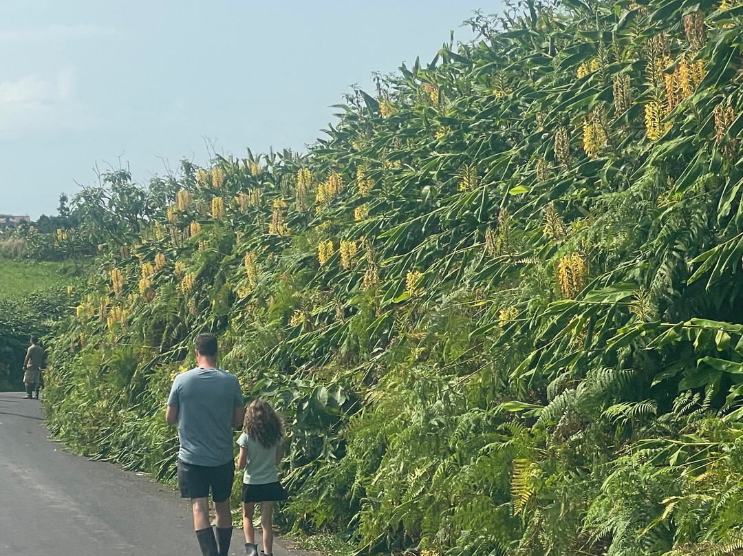 Âmago Wellness Farm-Achadinha必去景点