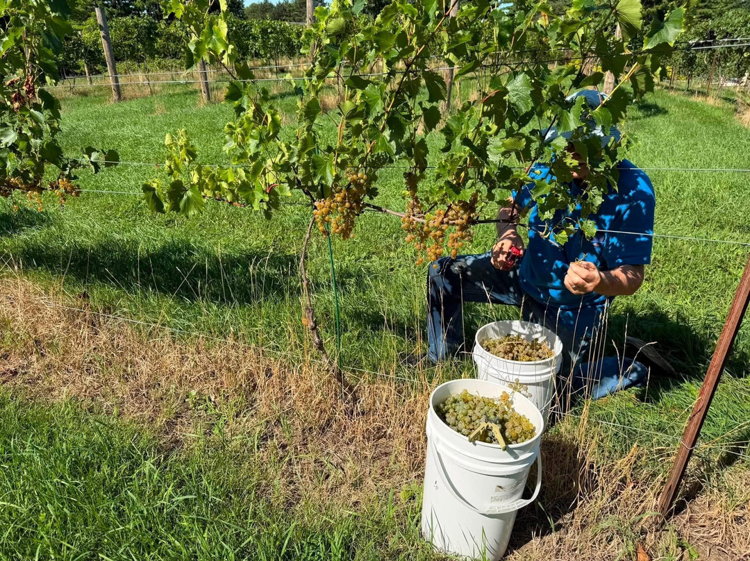 Drumlin Ridge Winery-Waunakee必去景点