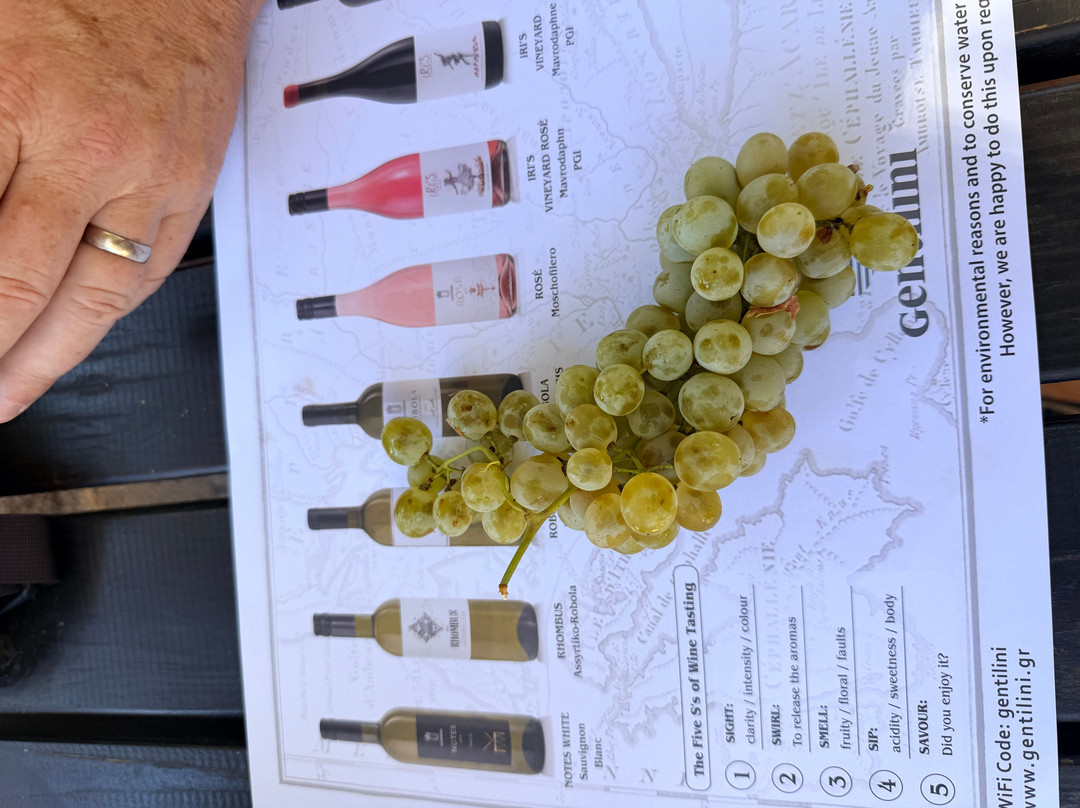 Gentilini Winery & Vineyards-Minia必去景点