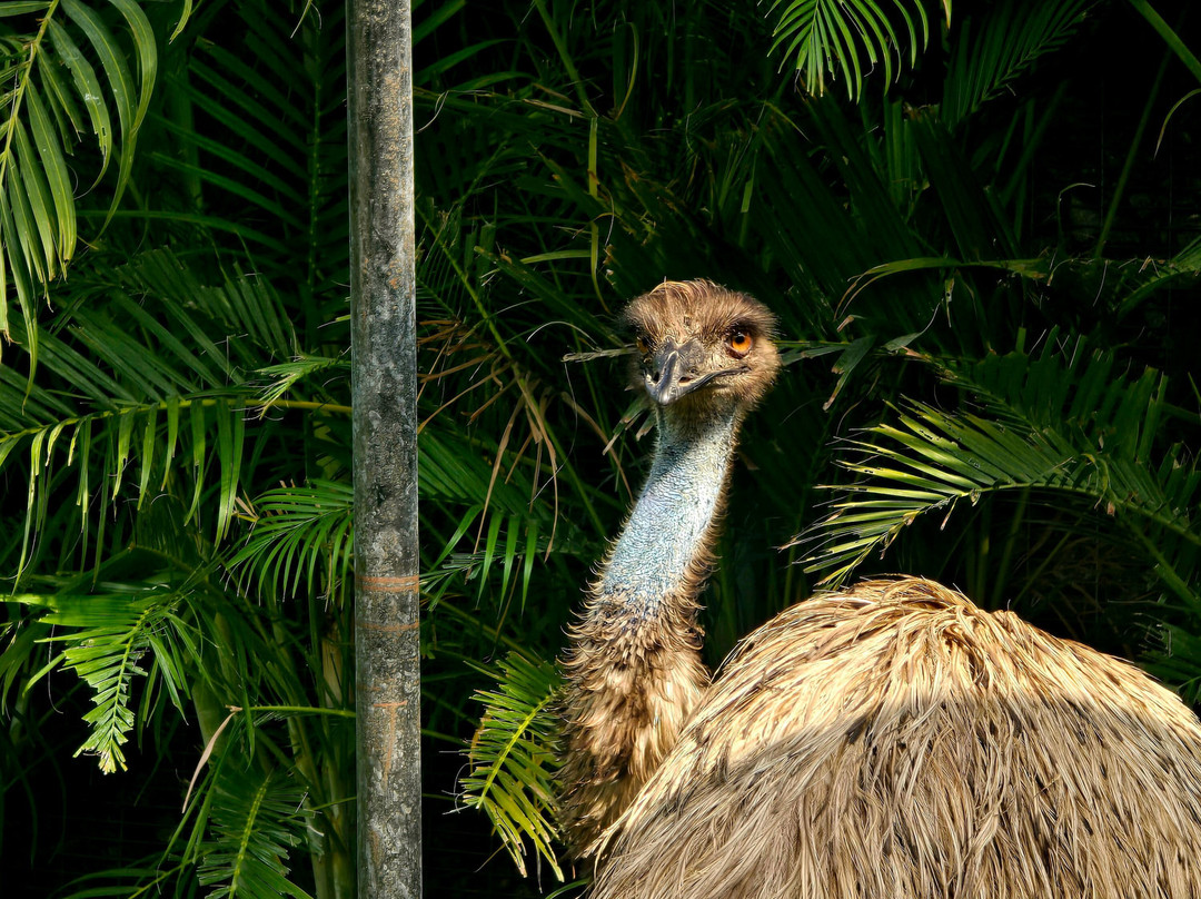 Trichy Birds Park-Tiruchirappalli District必去景点