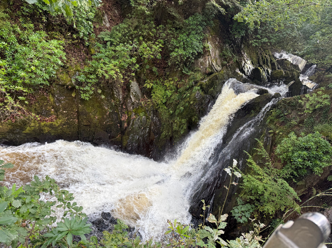 Devil's Bridge Waterfalls-Devil's Bridge (Pontarfynach)必去景点