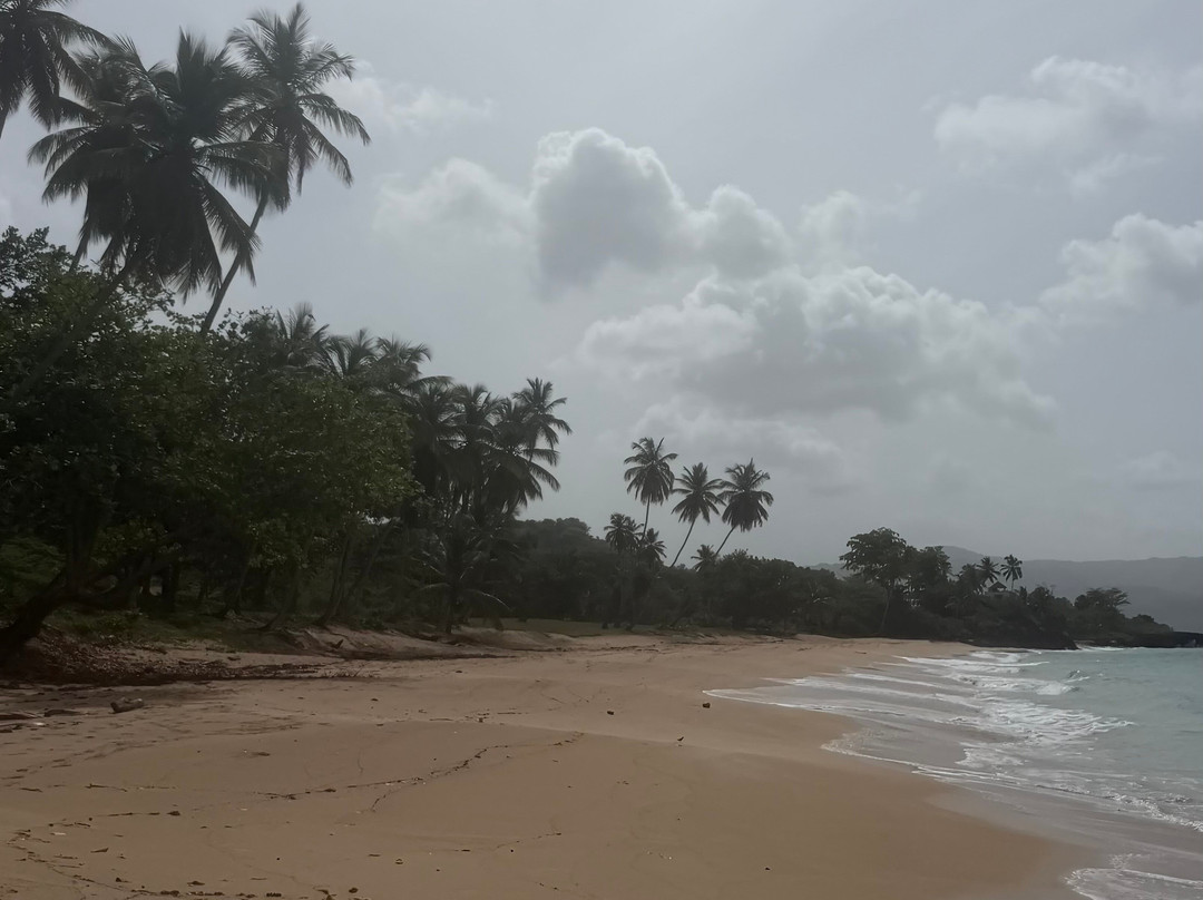 Samana Tourist Services-Las Galeras必去景点