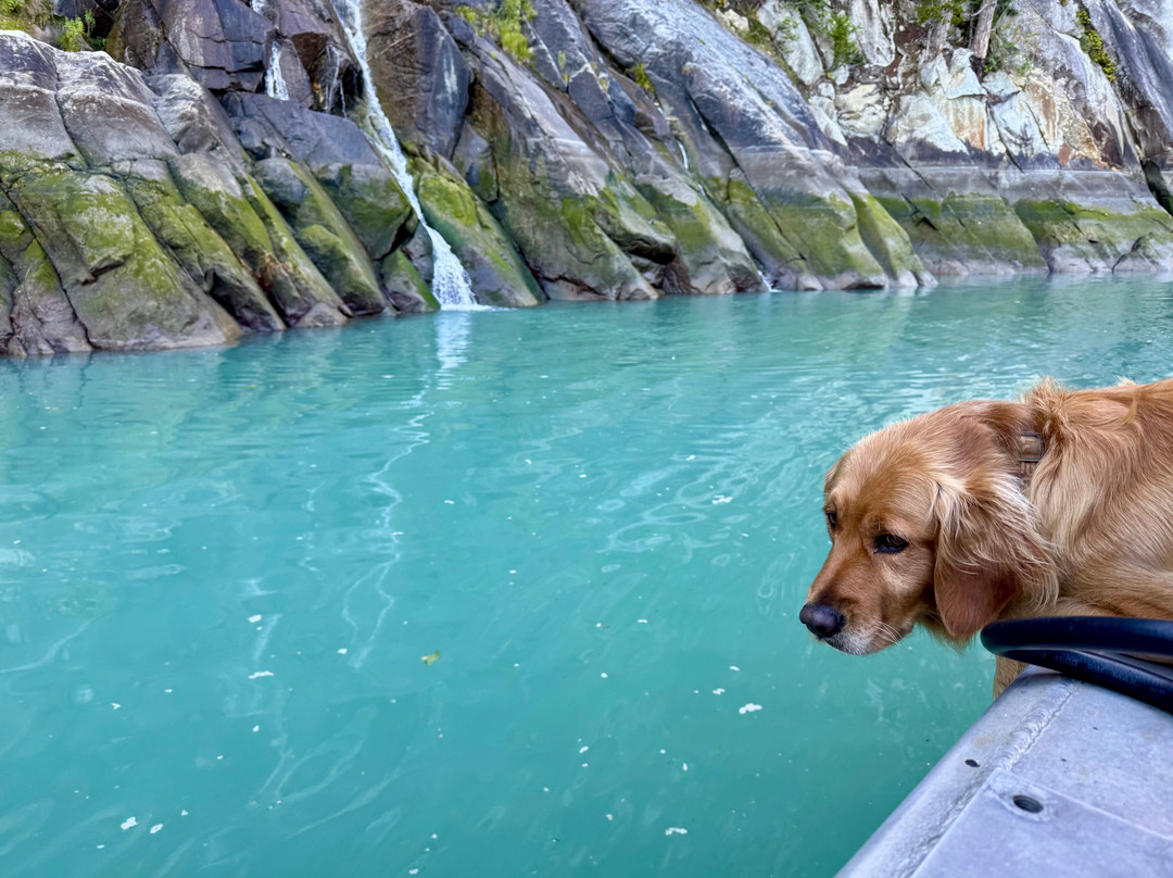 Bella Coola Grizzly Tours-Bella Coola必去景点