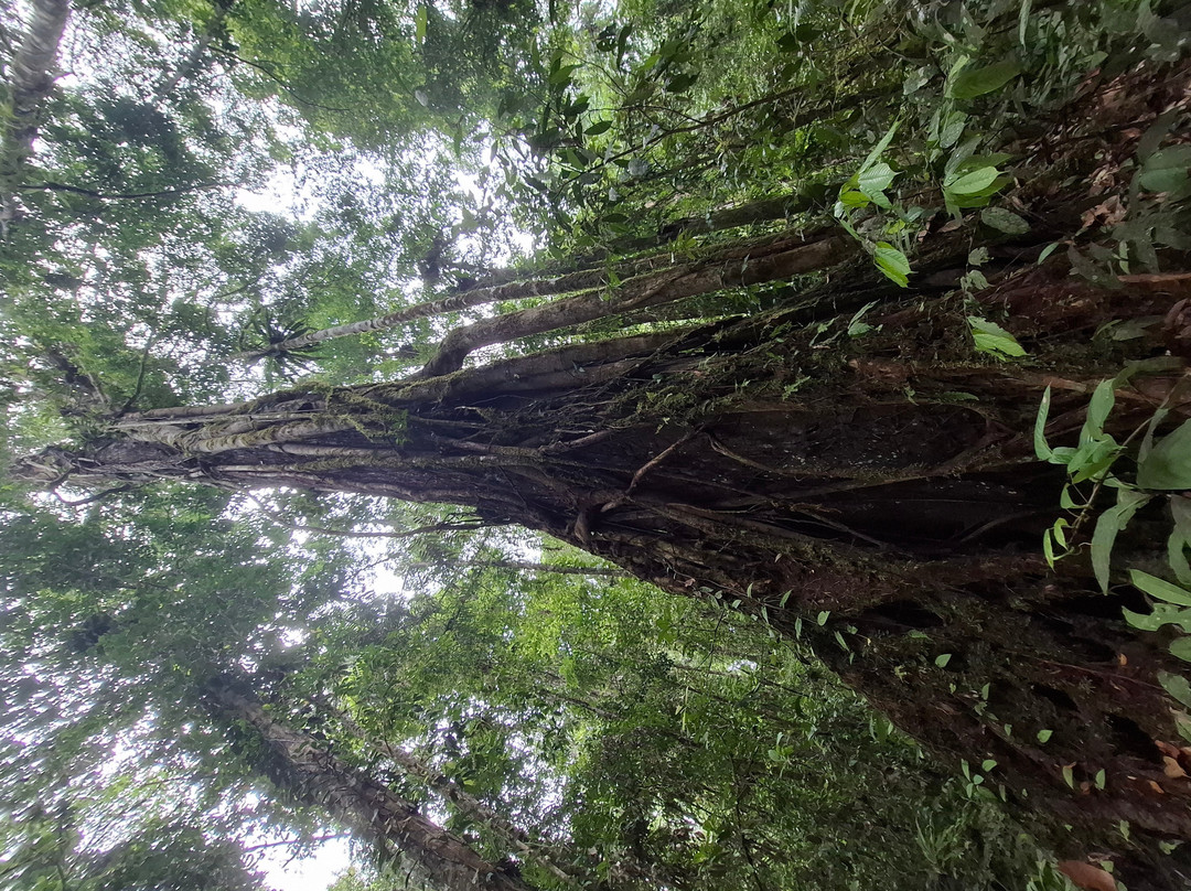 1StopBorneo Wildlife-斗湖必去景点