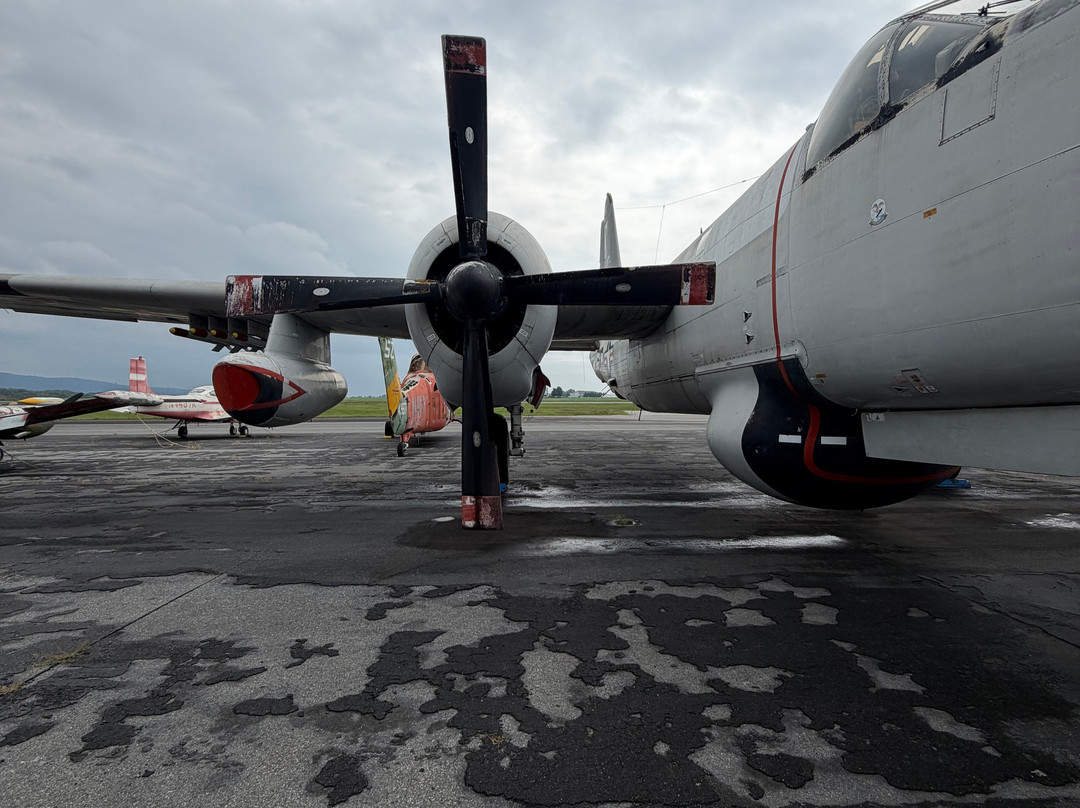 Mid-Atlantic Air Museum-雷丁必去景点