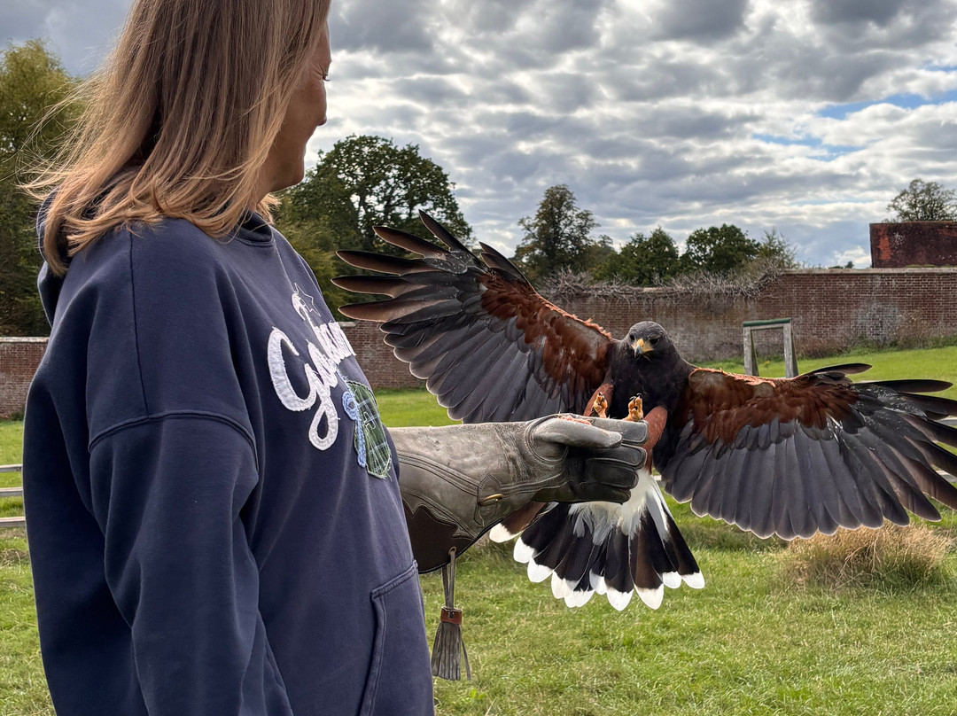 UK Owl And Raptor Centre-Groombridge必去景点