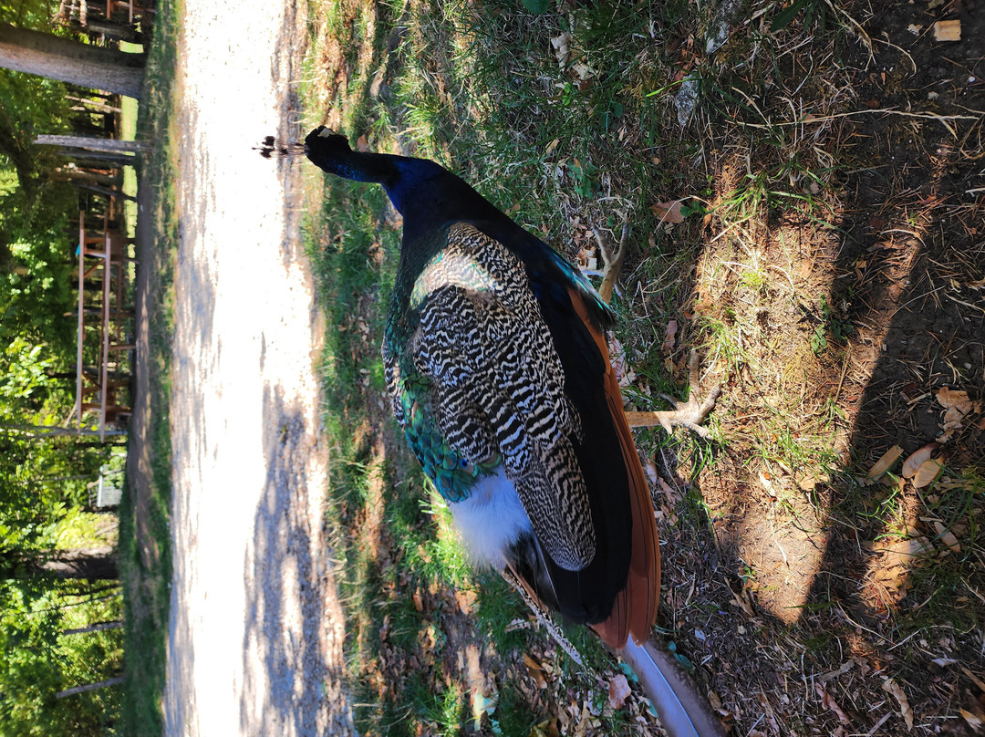 Lama Loisir Mamirolle-Mamirolle必去景点