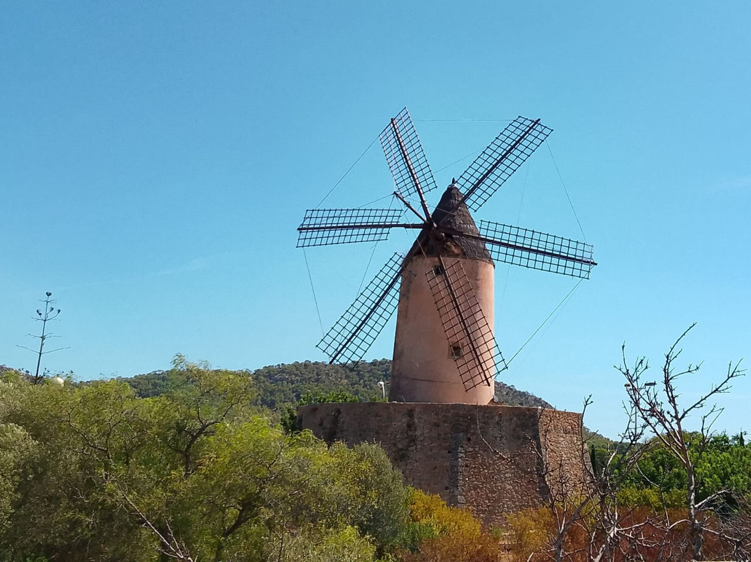 Molino de Santa Ponsa-圣庞沙必去景点