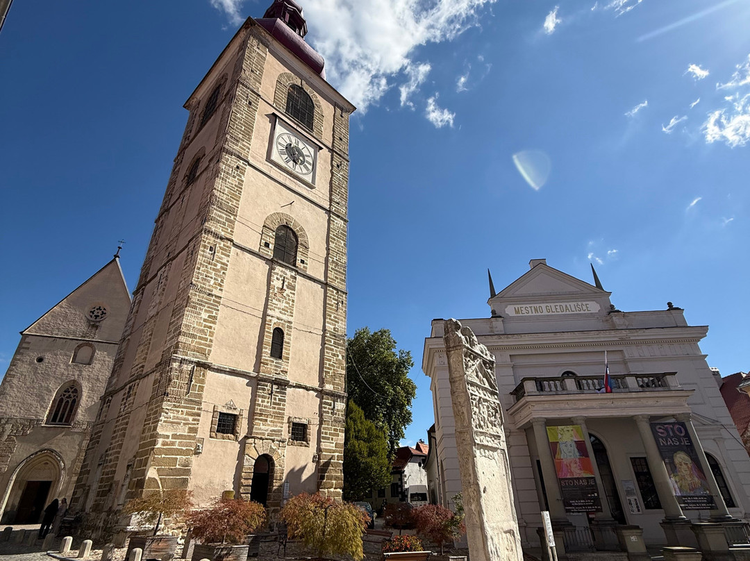 Ptuj City Tower-普图伊必去景点