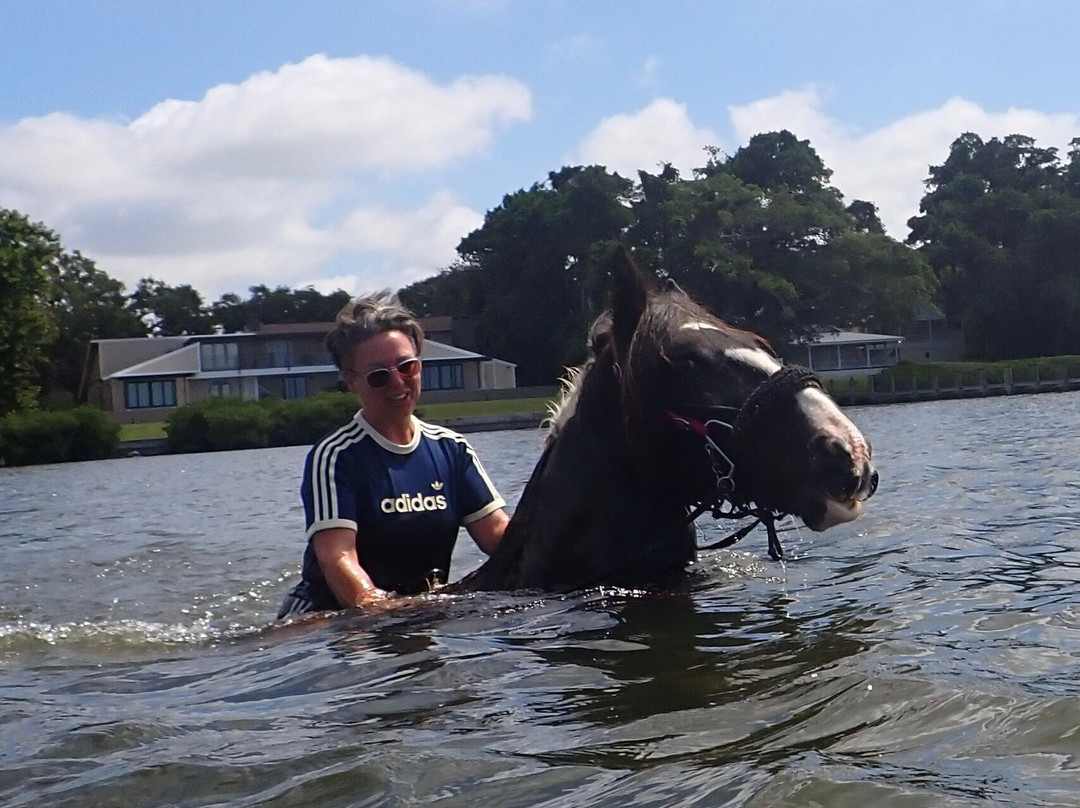 C Ponies Beach Horseback Rides-布雷登顿必去景点