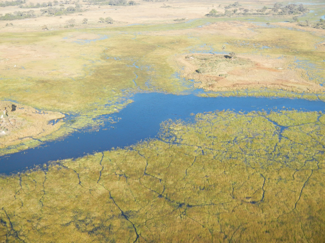 Okavango Delta-马翁必去景点