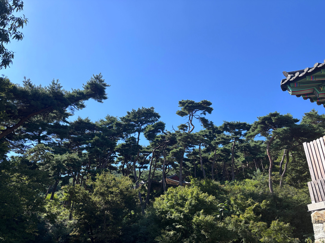 Sudeoksa Temple-礼山郡必去景点