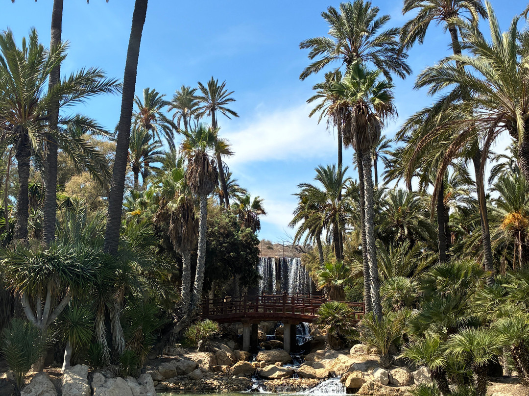 Parque El Palmeral-阿利坎特省必去景点